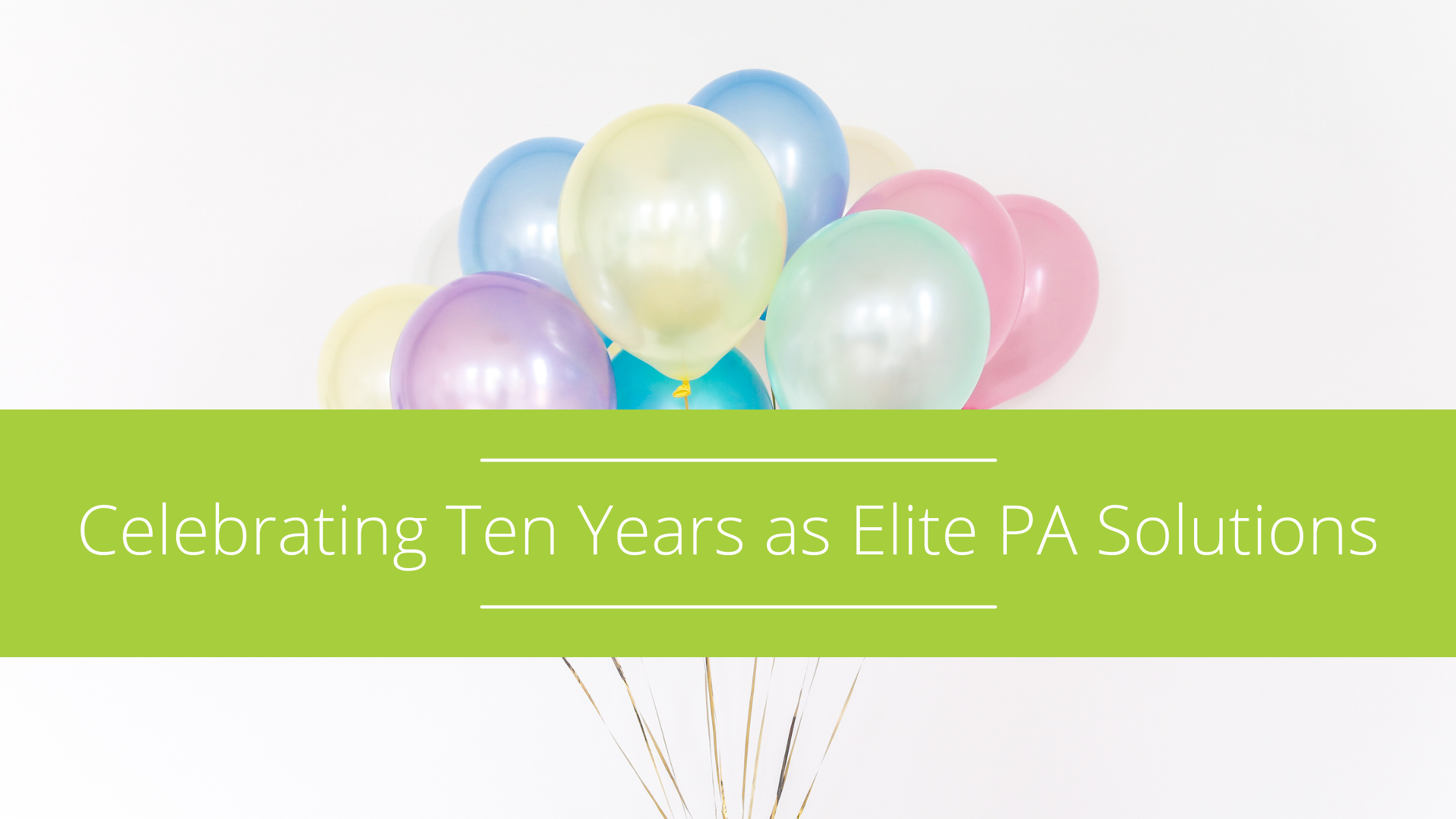 celebrating ten years in business